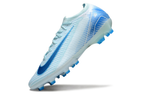 Nike Mercurial Vapor XVI Elite AG
