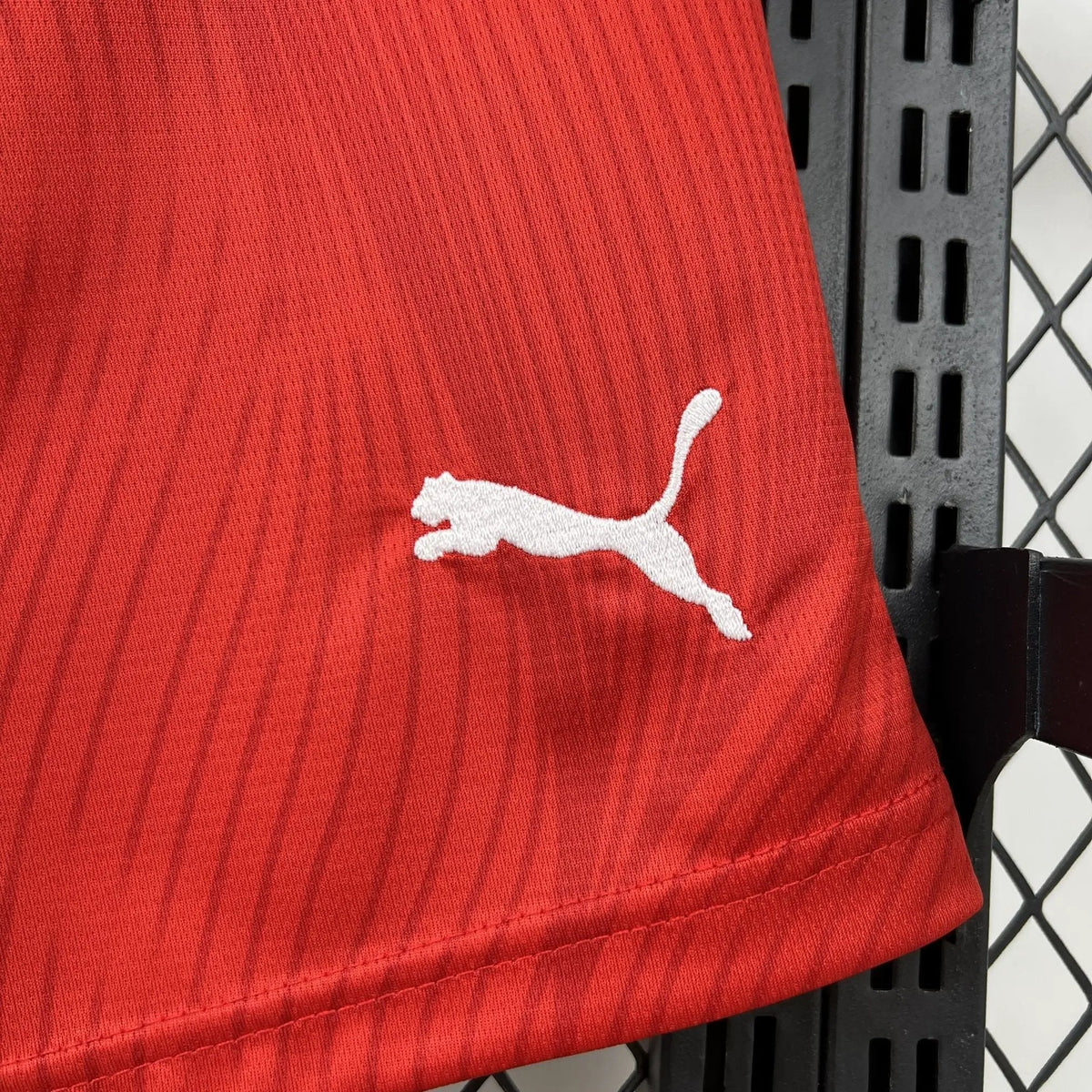 BOOTS SUPPLY Switzerland 2026 Home Shorts - Jerseys